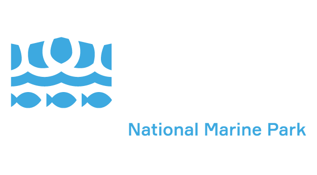 NMP logo